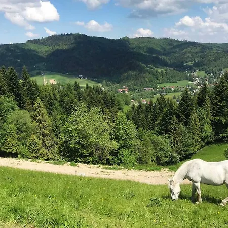 Accommodatie bij particulieren Gorskie Retro Wisła