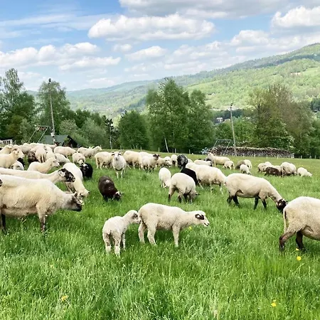 Gorskie Retro Accommodatie bij particulieren Wisła