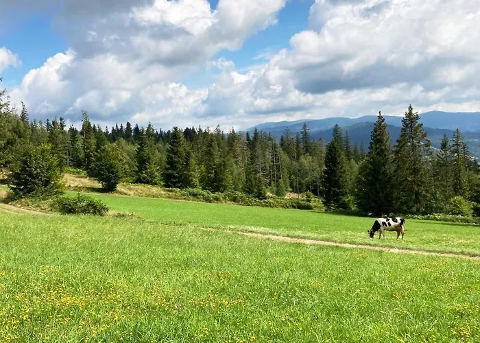 Gorskie Retro * Wisła