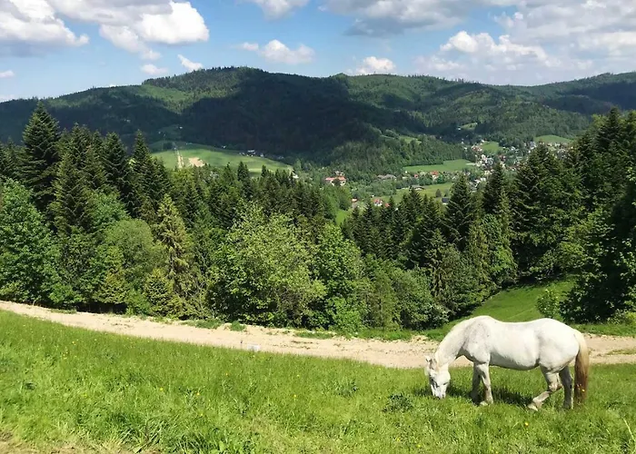 Homestay Gorskie Retro Wisla