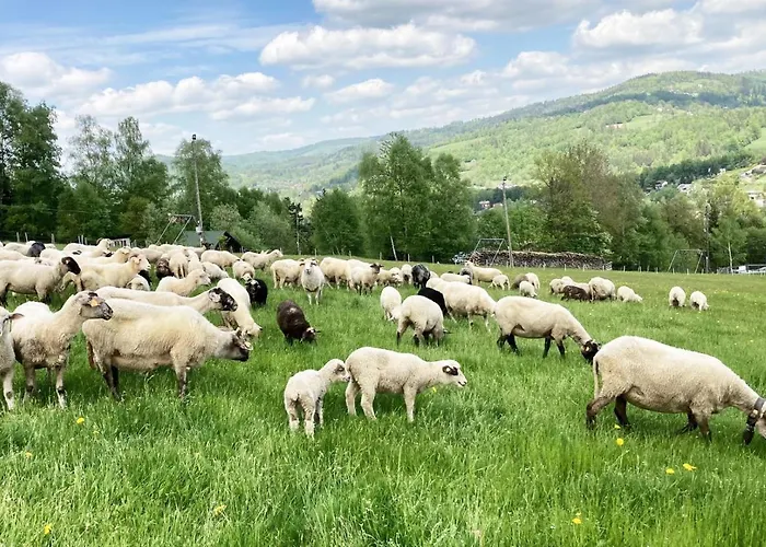 Gorskie Retro בית אירוח ויסלאו